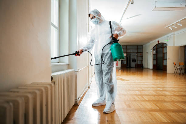 Real Estate Pest Inspections in Grayling, MI